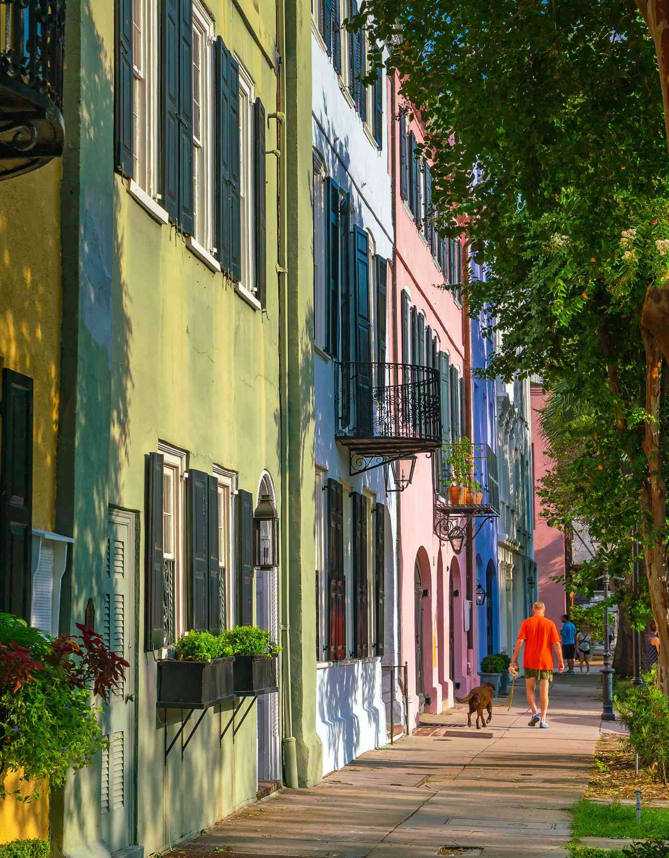 Man walking his dog along a street in downtown Charleston, South Carolina