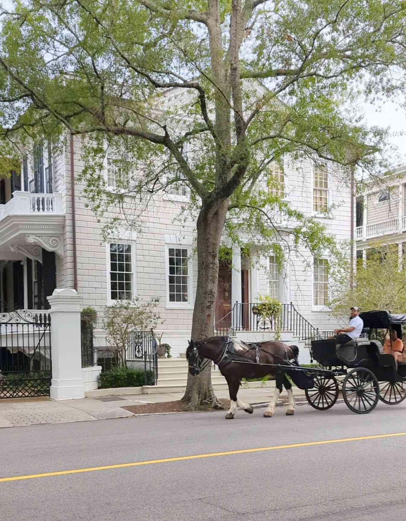 Horse-drawn carriage in front of a historic home in Charleston, South Carolina