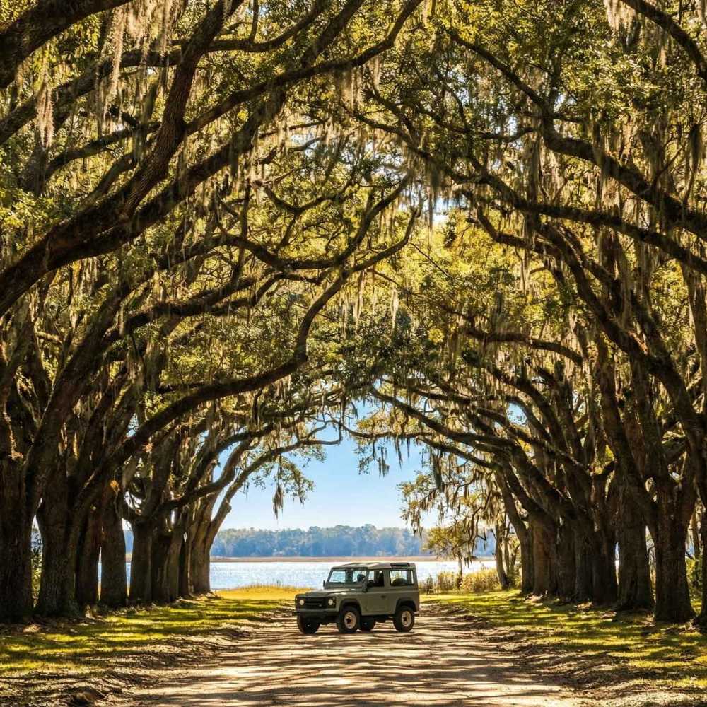 2 A scenic Johns Island road, characterized by a lush, overhanging canopy of majestic oak trees, with a stylish Range Rover subtly enhancing the picturesque Lowcountry atmosphere.