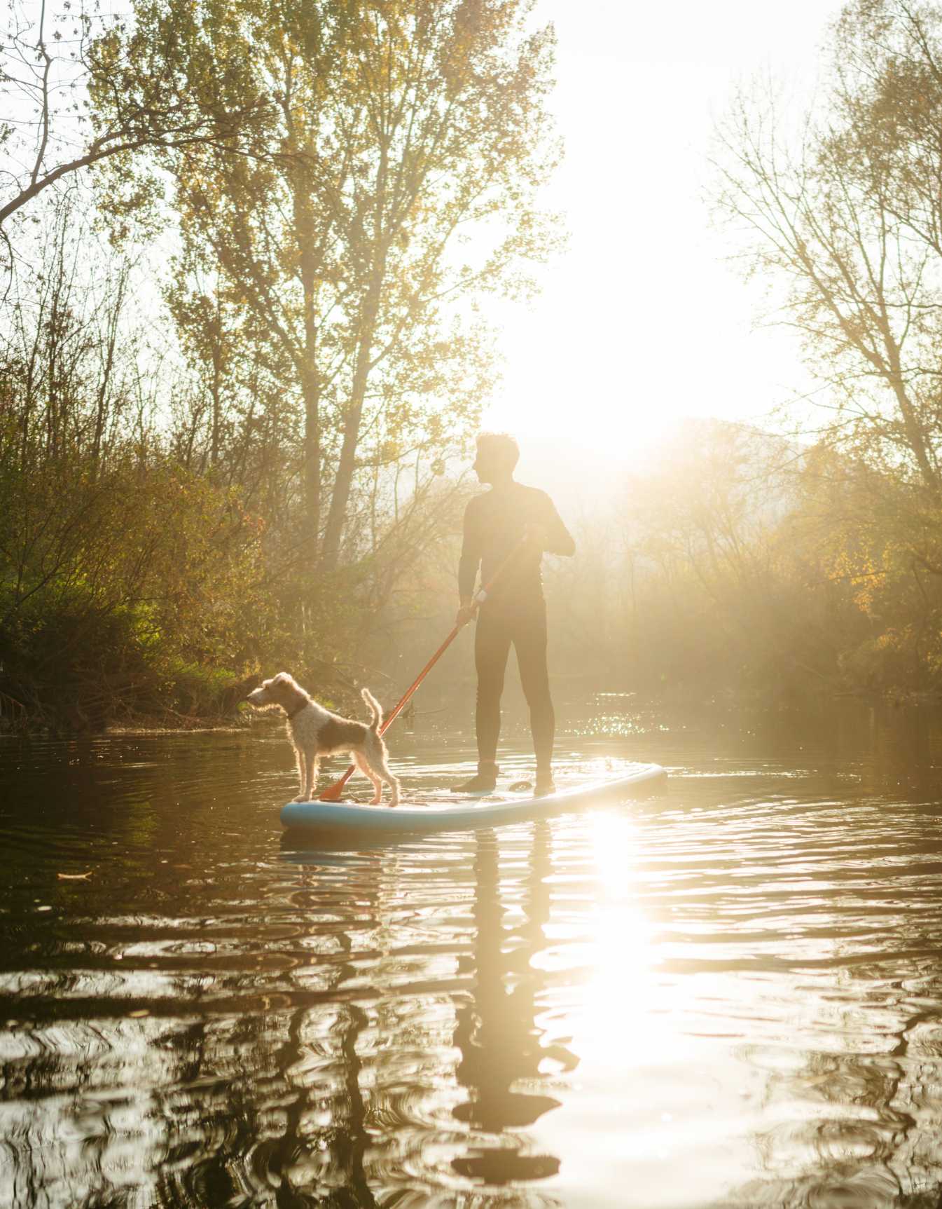 A person and their dog stand-up paddleboarding on the calm waters of the Kiawah River at sunrise, surrounded by marsh trees and golden light