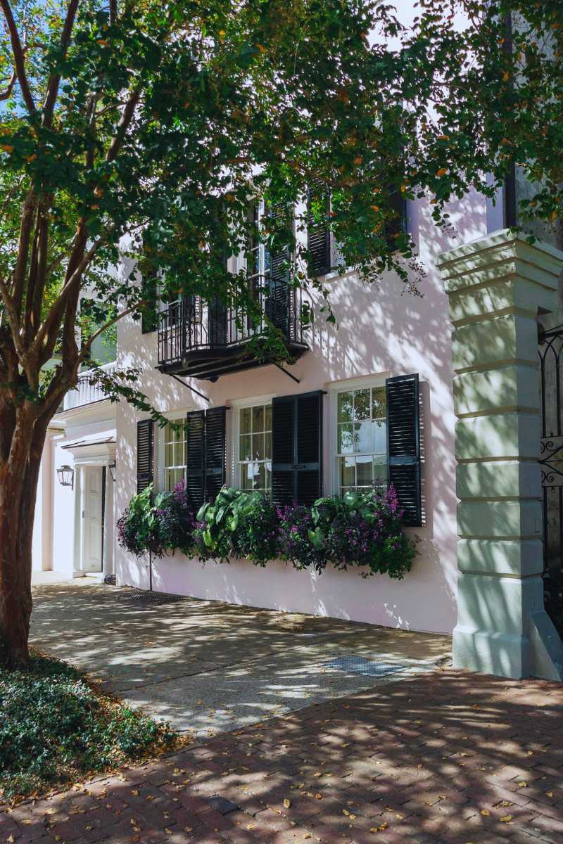 A quiet morning scene on a historic Charleston street featuring a classic pink home with vibrant pink flowers and traditional architecture.