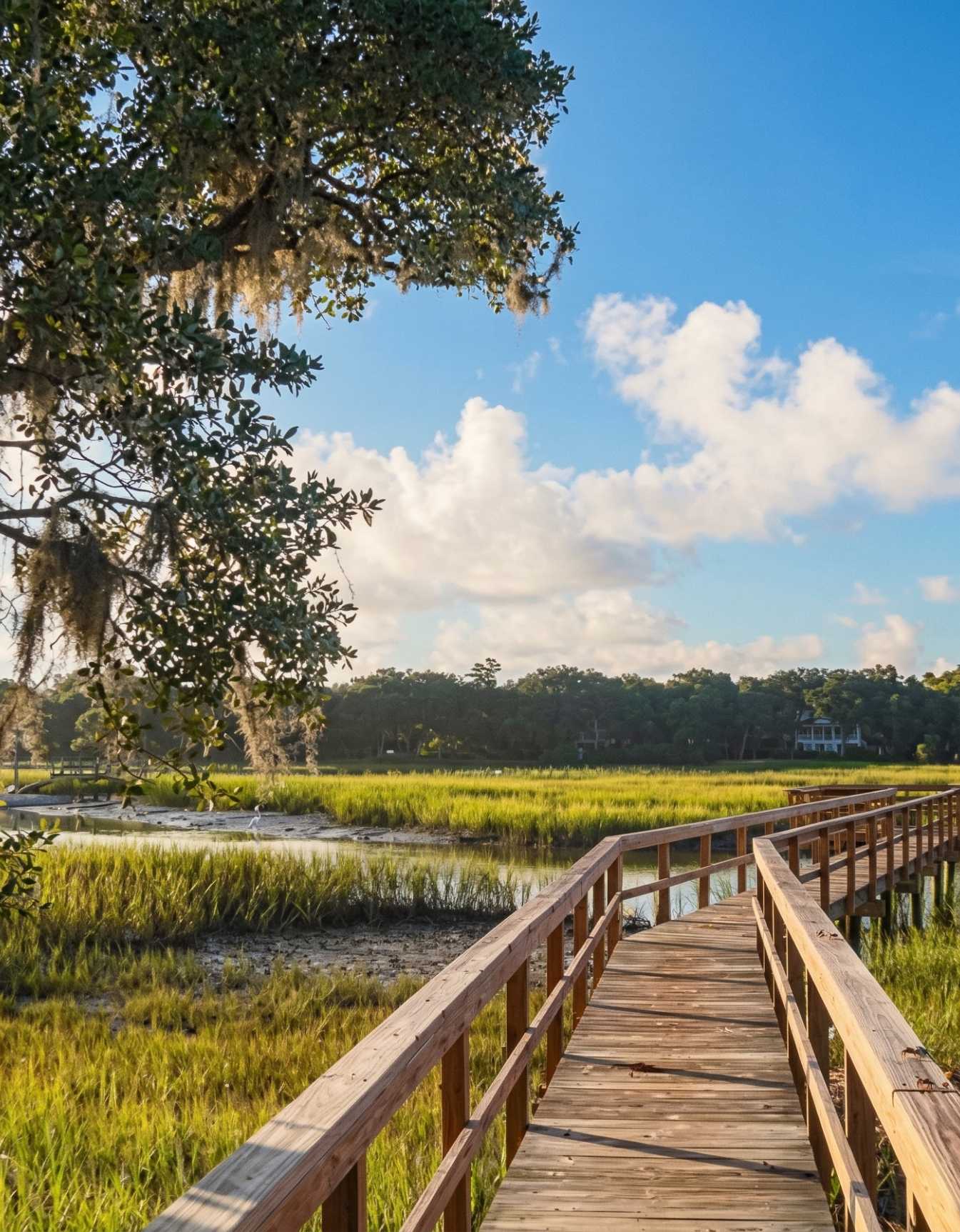 A wooden boardwalk stretching over the vibrant green marshlands of James Island under a blue sky.