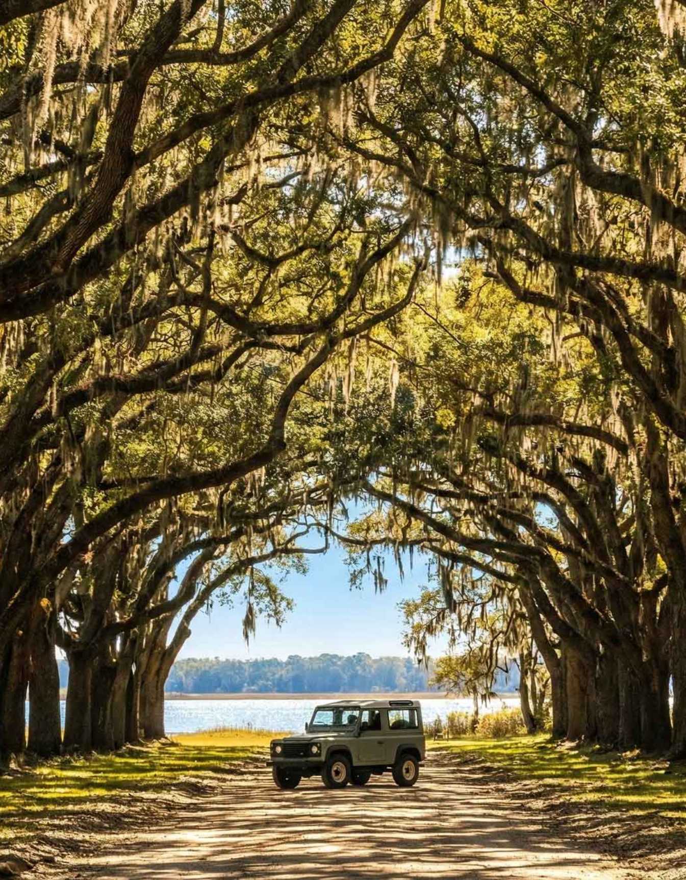 A vehicle parked under a beautiful canopy of ancient live oak trees draped in Spanish moss on Johns Island.