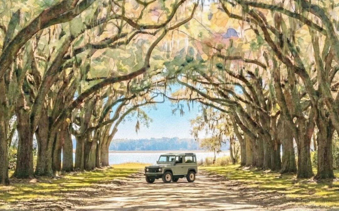 Johns Island’s Next Chapter: New Recreation, Protected Green Space & Thoughtful Growth